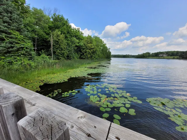 Island Lake Conservation