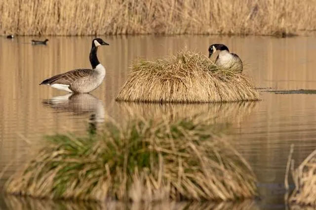 Espace Naturel De La Motte