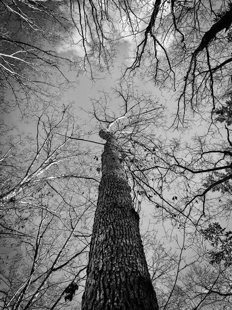 Brecksville Reservation