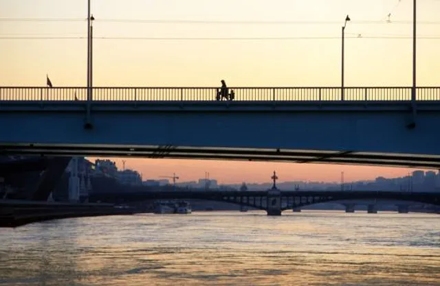 Pont de la Guillotière