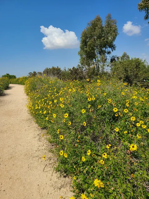 Willow Springs Park - Long Beach