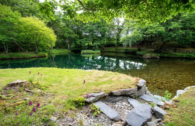 Aber Cottage & The Retreat