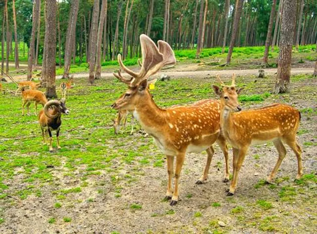 Naturwildpark Granat