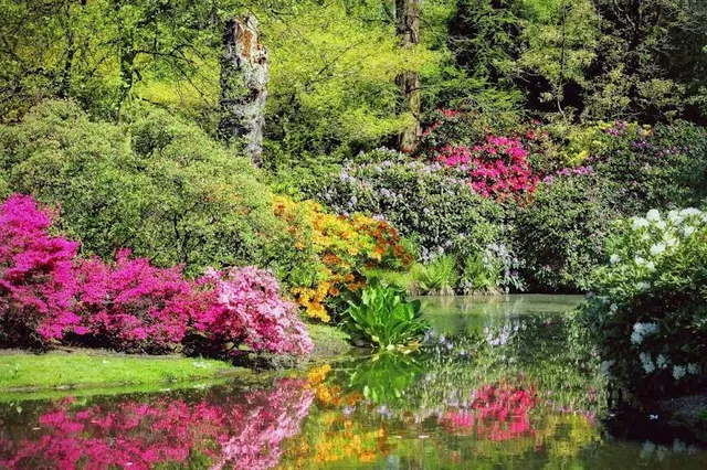 Arboretum Trompenburg