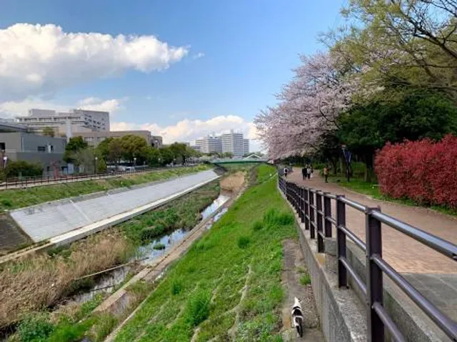 Shinyokohama Ekimae Park