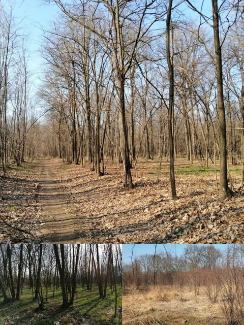 Parco Bosco del Rugareto