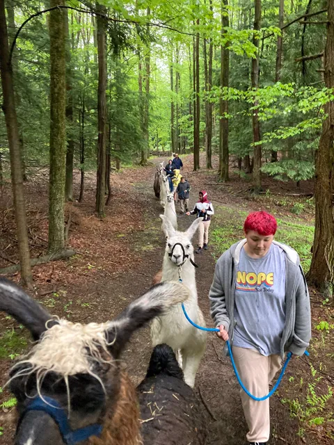 Llama Adventures