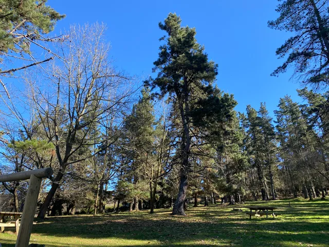 Área recreativa Rozamayor