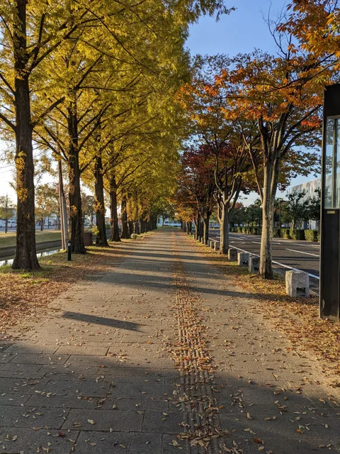 Don-don-don no Mori Park