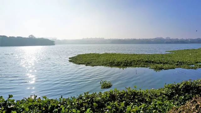 Madiwala Lake