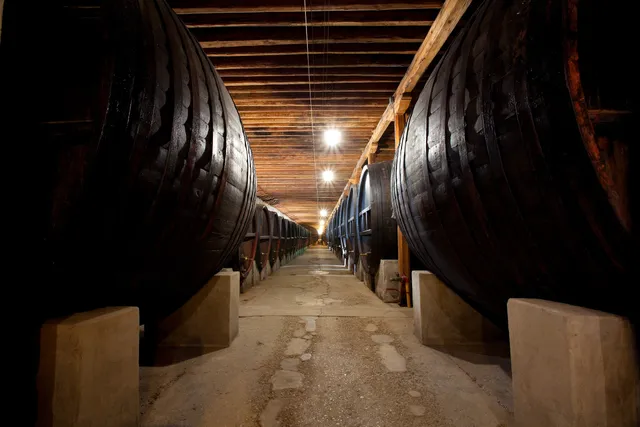 Azienda Agricola Giol