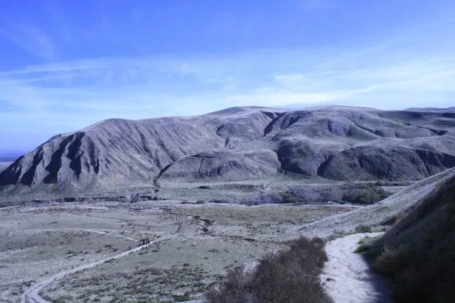 Wind Wolves Preserve