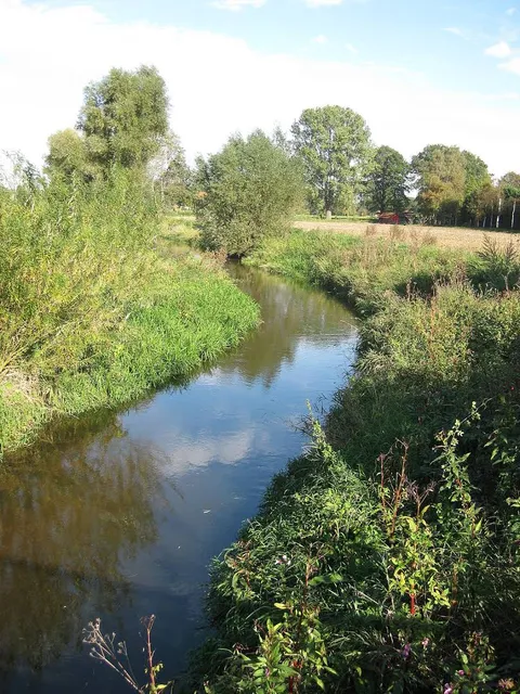 photo-2