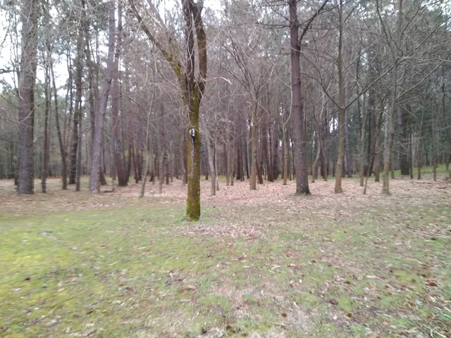Parque Forestal De Zamáns