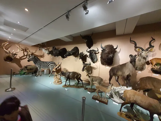Museum of Natural History of Tours