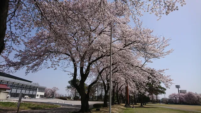 Fujiyama Park