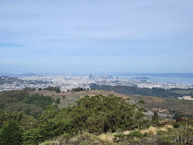 San Bruno Mountain State & County Park