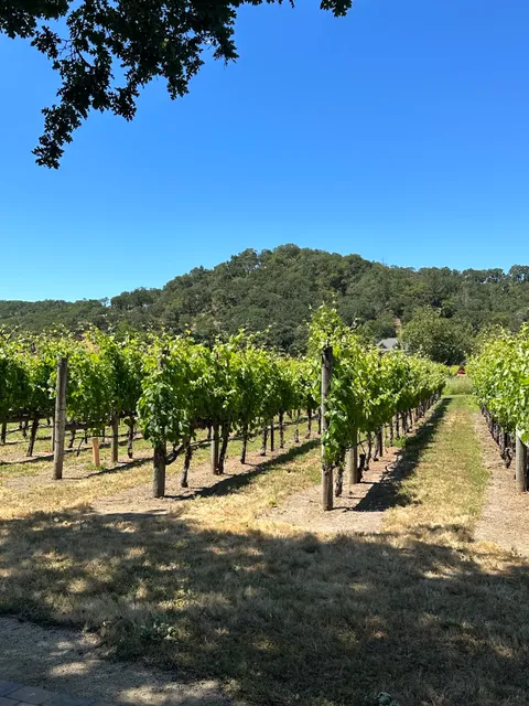 Loxton Cellars