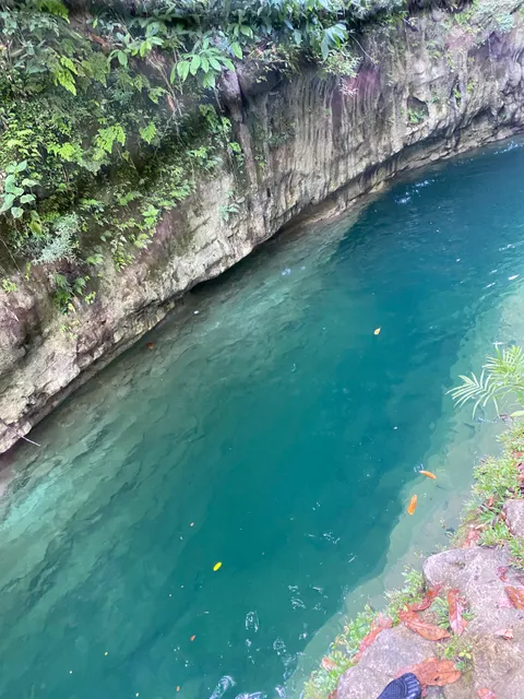 Río el paraíso de arroyo frío