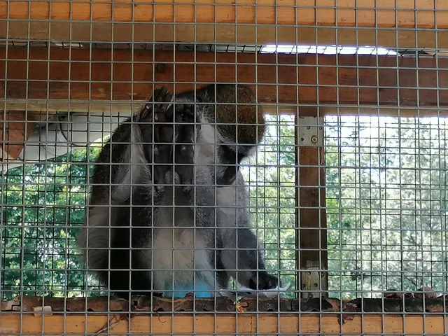 Sonneberg-Neufang Zoo