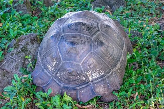 AgroPark Mutis UNIMINUTO