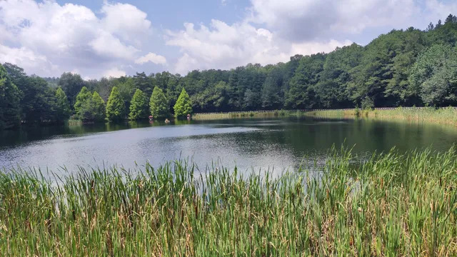 Laghetto Sambuco di Mongiana