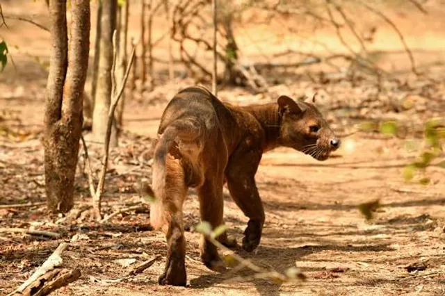 Garganta del arroyo de la ventilla