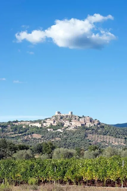 Castello Di Semivicoli