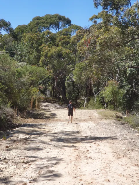 The Basin track and Mackerel track