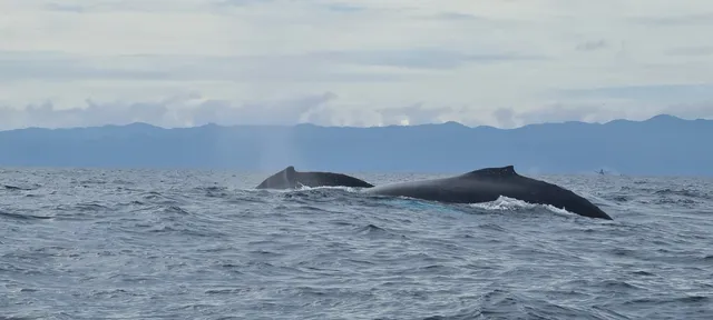 Parroquia Puerto López