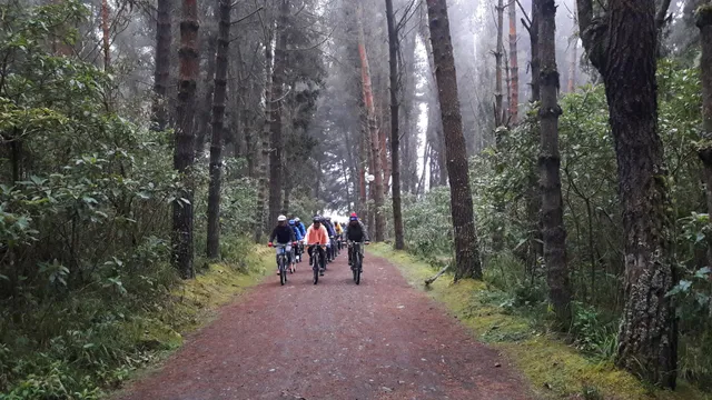 photo-3
