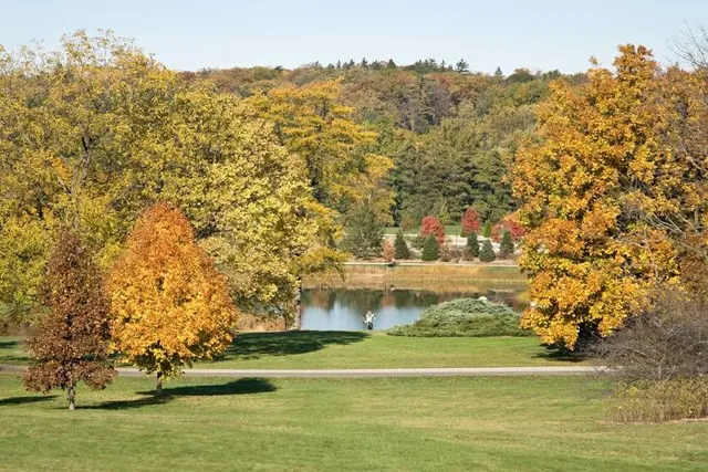 The Morton Arboretum