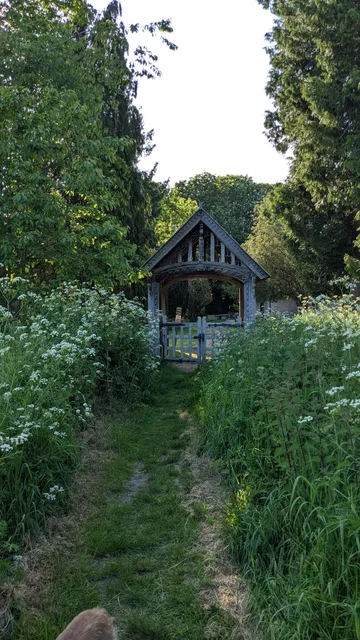 photo-1