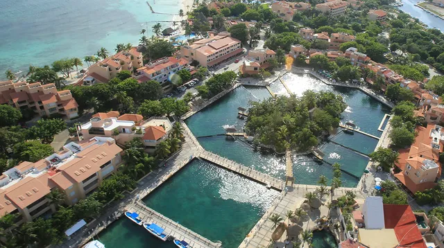 Dolphin Discovery Riviera Maya