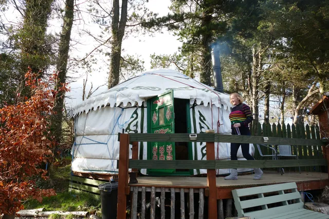 The Tall Pines Yurt