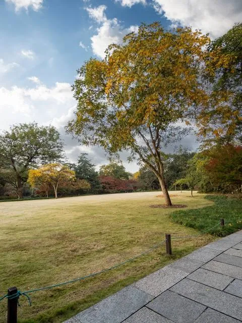 Portsmouth City Park