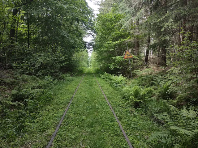 Dressin i ÖSTRA GÖINGE- Startplats