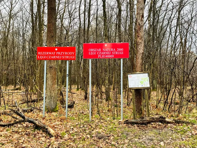 Rezerwat przyrody Łęgi Czarnej Strugi