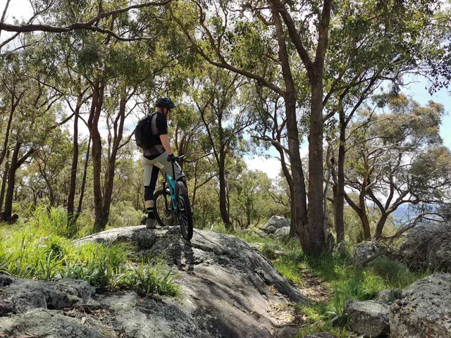 Blores Hill Mtb Park