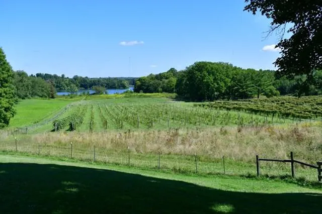The Winery at Wolf Creek