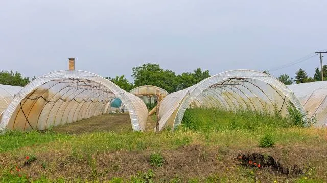 Varsana Eco Yoga Village