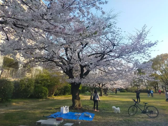 Shiroshio Park