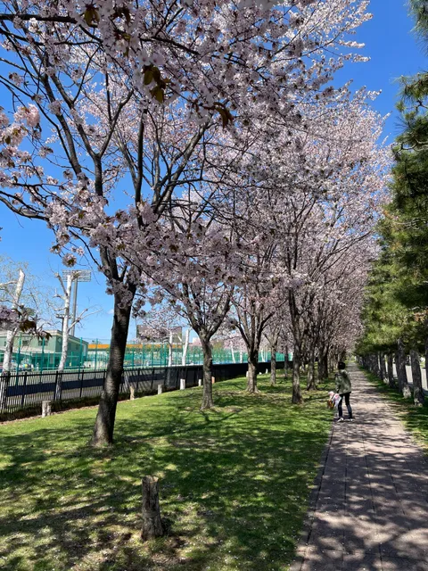Hanasaki Sports Park