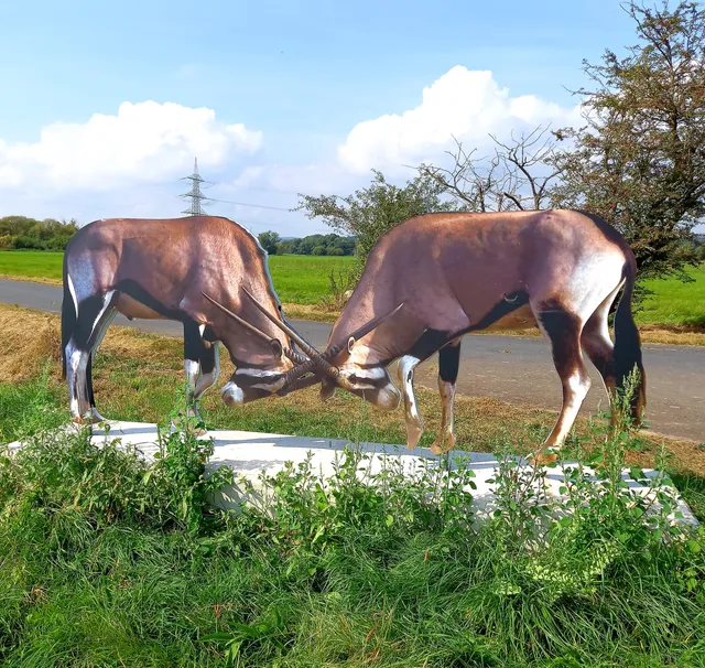 Schwalm statt Safari