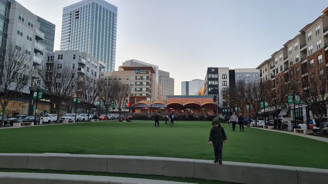photo-1