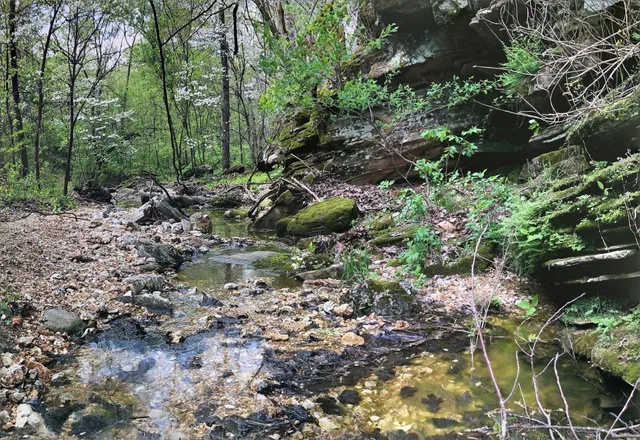 Turkey Pen Hollow Trailhead