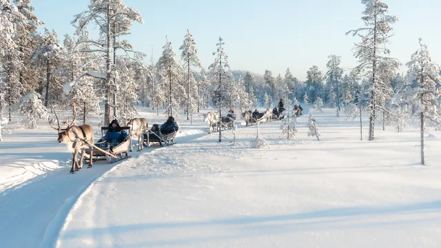 Salla Wilderness Park, Salla Reindeer Park