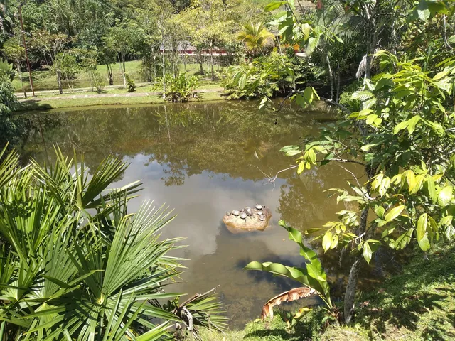 Santafé de los Guaduales