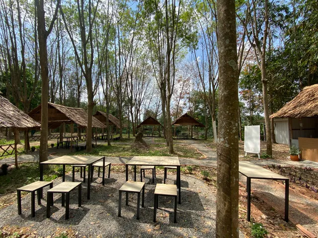 ก๋วยเตี๋ยวหลังบ้าน (คลองแห)