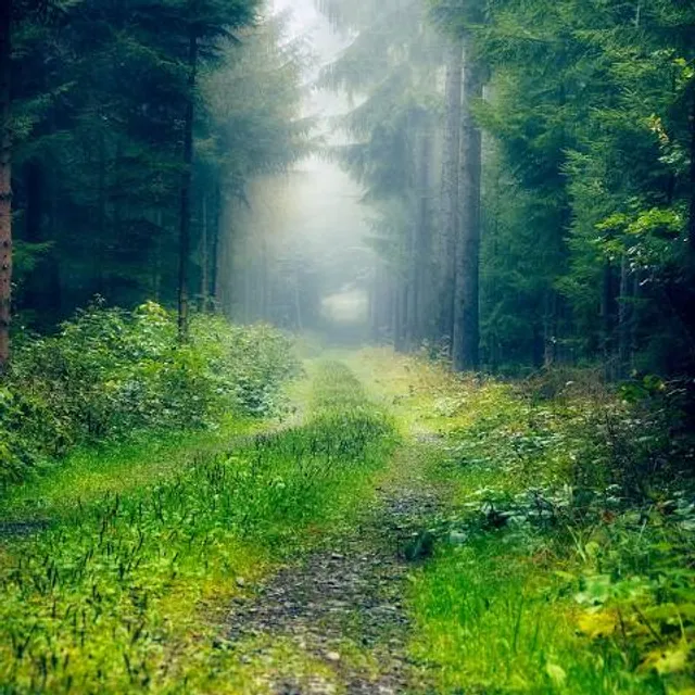 Eifgenbachtal und Seitentäler